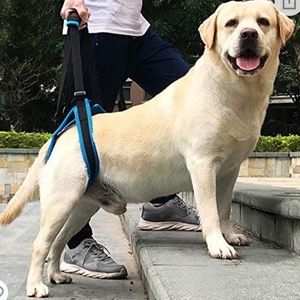 Dog Support Harness for rear leg support for walk by ROZKITCH